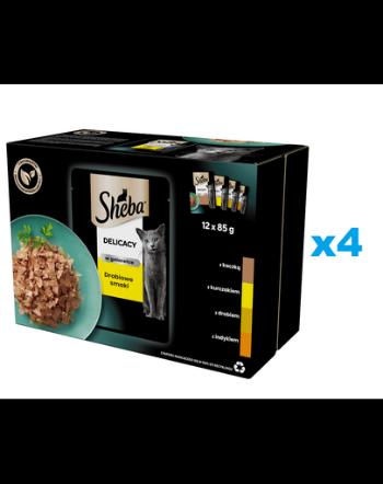 SHEBA Delicacy pachet plicuri 48x85 g hrana umeda pisici adulte, carne de pasare in aspic