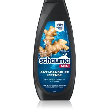 Schwarzkopf Schauma Anti-Dandruff sampon anti-matreata cu ghimbir pentru bărbați 400 ml