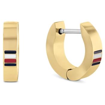 Tommy Hilfiger Cercei rotunzi placați cu aur Men`s Earrings 2790586