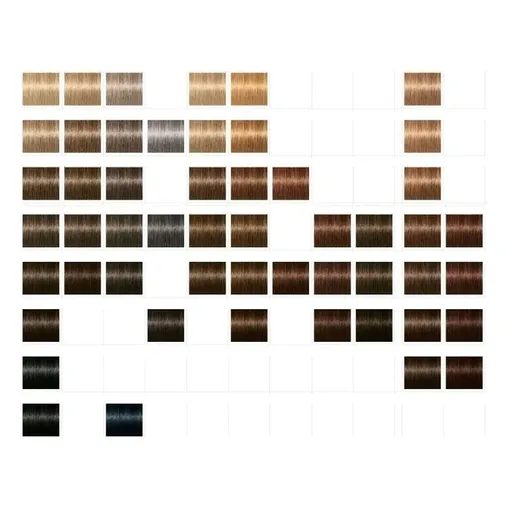 Catalog Culori Schwarzkopf Professional Igora Royal Board Muted Desert Update