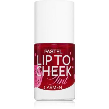 Pastel Lip To Cheek Tint fard de obraz lichid buze si obraz culoare 01 Carmen 9,6 ml