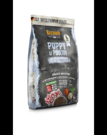 BELCANDO Finest Grain Free Puppy hrana uscata pentru pui, varsta 4 luni+, 1 kg