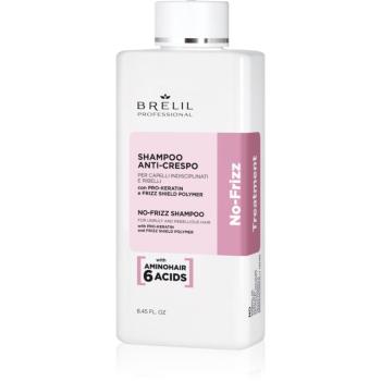 Brelil Professional No Frizz șampon pentru par indisciplinat 250 ml