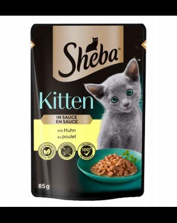 SHEBA Kitten 85g cu pui in sos hrana pisoi