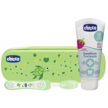 Chicco Always Smiling 12m+ set pentru îngrijirea dentară pentru copii Green 12 m+ 1 buc