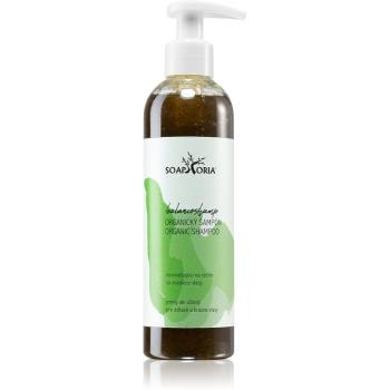 Soaphoria Hair Care sampon lichid organic pentru par gras 250 ml