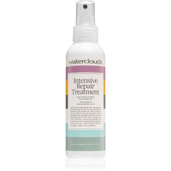 Waterclouds Intensive Repair Treatment spray nutritiv și hidratant pentru păr 150 ml