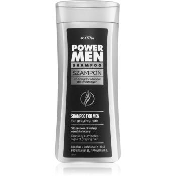 Joanna Power Men șampon pentru păr alb și gri pentru barbati 200 ml