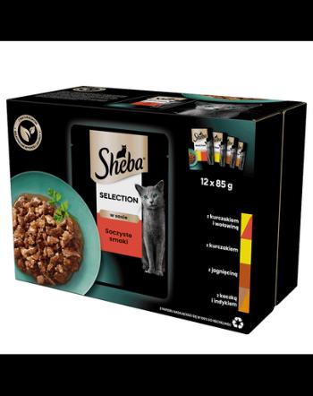 SHEBA Selection Juicy Flavors plicuri 12x85 g hrana umeda completa pentru pisici adulte, in sos, cu vita, pui, miel, curcan