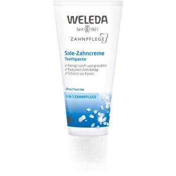 Weleda Dental Care pastă de dinți cu sare de mare 75 ml