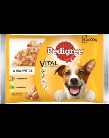 PEDIGREE Vital Protection jeleu de miel și pui 52 x 100 g