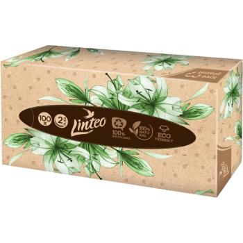 Linteo Paper Tissues Two-ply Paper, 100 pcs per box batiste de hârtie 100 buc