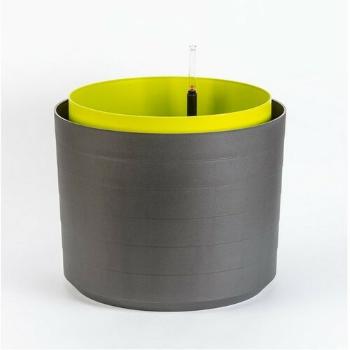 Plastia Plantă de volum mare cu auto-apărareBerberis 55, antracit + verde, gri