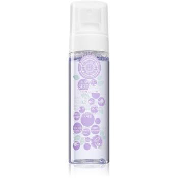 Natura Siberica Anti-Ox Wild Blueberry ceață facială tonică 100 ml