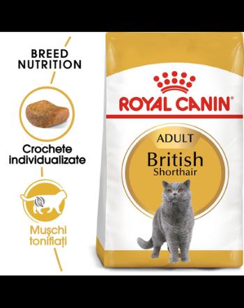 Royal Canin British Shorthair Adult Hrana Uscata Pisica British Shorthair 4 kg