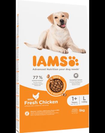 IAMS For Vitality Hrana uscata cu pui pentru cainii adulti de talie mare 5kg