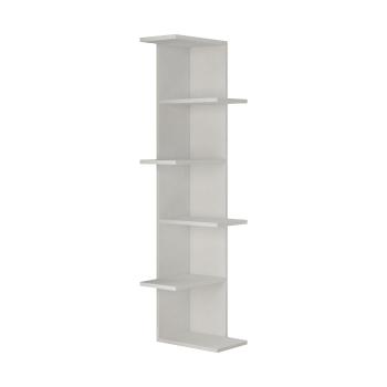 Biblioteca Saso White