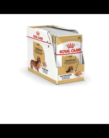 ROYAL CANIN Jamnik Adult 48 x 85 g hrană umedă special pentru câini Dachshund adulți