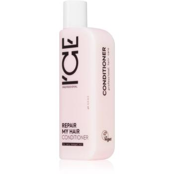 Natura Siberica ICE Professional Repair My Hair balsam pentru restaurare adanca cu keratina 250 ml