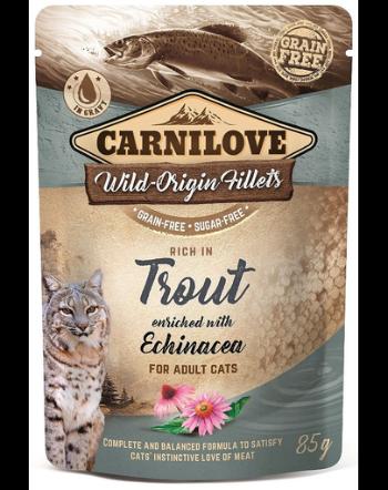 CARNILOVE Trout&amp;Echinacea 24 x 85 g hrana umeda pentru pisici, pastrav si echinacea