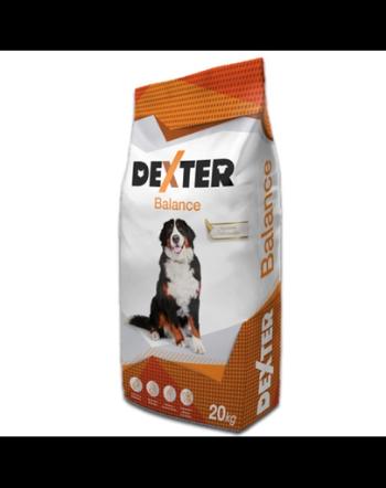 REX Dexter Balance 20kg hrana cu vitamine pentru caini