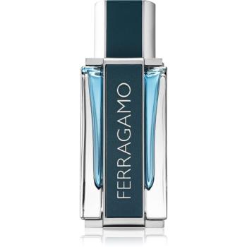 Ferragamo Ferragamo Intense Leather Eau de Parfum pentru bărbați 50 ml