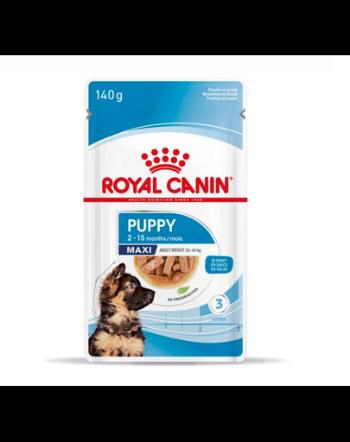 Royal Canin Maxi Puppy hrana umeda caine junior, 10 x 140 g