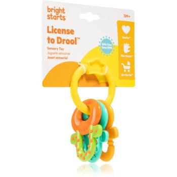 Bright Starts Teether & Rattle jucărie zornăitoare pentru dentiție 3m+ 1 buc