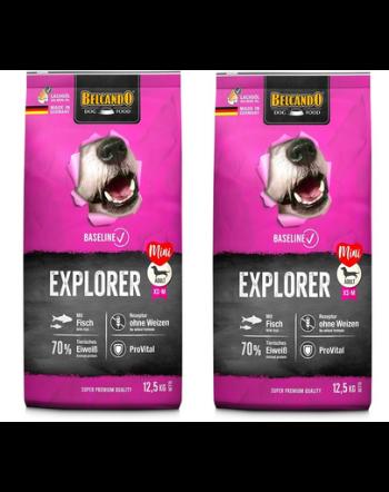 BELCANDO Baseline Explorer 2 x 12,5 kg hrana caini adulti talie mica, medie