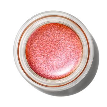 MAC Cosmetics Farduri de ochi cremoase (Pro Longwear Paint Pot) 5 g Babe In Charms