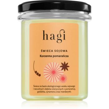 Hagi Spicy Orange lumânare parfumată 215 g