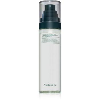 Pyunkang Yul Calming Moisture Mist lotiune calmanta dupa bronzare pentru ten uscat și sensibil 100 ml