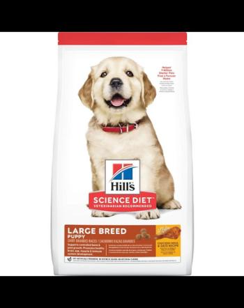 HILL'S Puppy Large Breed hrană uscată pentru pui de talie mare, cu pui 14,5 kg