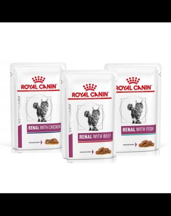 ROYAL CANIN Renal Feline Mix arome 72 x 85 g hrana umeda dietetica pentru pisici cu insuficienta renala cronica