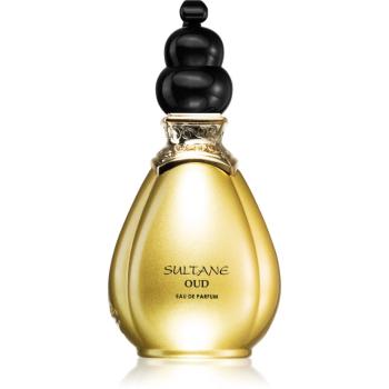 Jeanne Arthes Sultane Oud Eau de Parfum pentru bărbați 100 ml