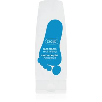 Ziaja Foot Care cremă hidratantă pentru picioare 80 ml