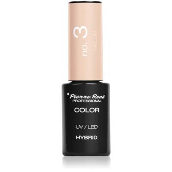 Pierre René Nails Hybrid unghii cu gel folosind UV / lampă cu LED culoare No. 3 Melon 6 ml