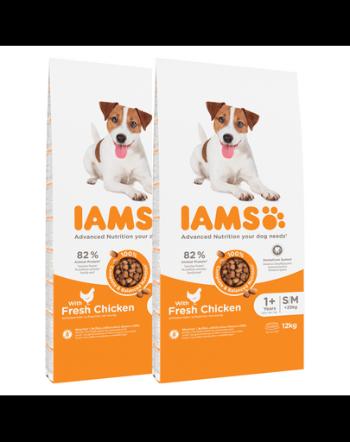 IAMS ProActive Health Adult Small &amp; Medium Breed Chicken 24 kg (2 x 12 kg) hrana caini talie mica