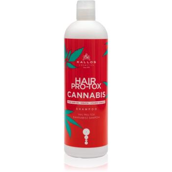 Kallos Hair Pro-Tox Cannabis sampon pentru regenerare cu ulei de canepa 500 ml