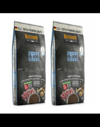 BELCANDO Puppy Gravy BELCANDO Puppy Gravy hrana uscata pentru pui, varsta 4 luni+ , 25 kg (2x12.5 kg)