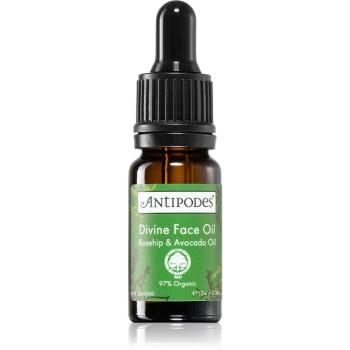 Antipodes Divine Face Oil Rosehip & Avocado Oil ser protector impotriva primelor semne de imbatranire ale pielii 10 ml