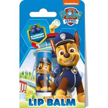 Nickelodeon Paw Patrol Lip Balm balsam de buze pentru copii Blueberry 4,4 g