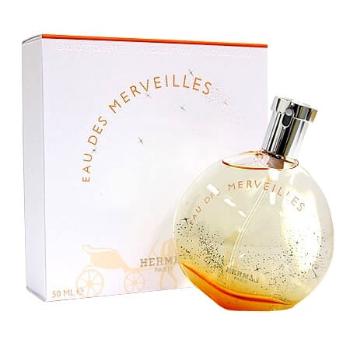 Hermes Eau Des Merveilles - EDT 100 ml