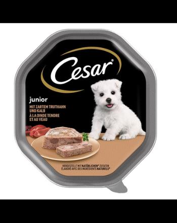 CESAR Junior pate pentru pui de catel 150 g curcan si vitel