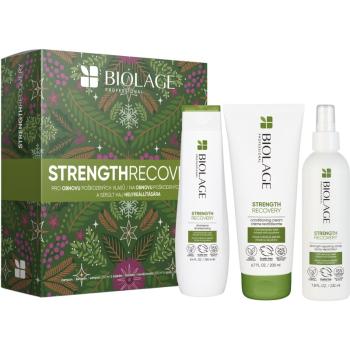 Biolage Strength Recovery set cadou pentru par deteriorat