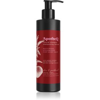 Soaphoria ApotheQ Aloe & Panthenol șampon pentru un par stralucitor si catifelat 250 ml