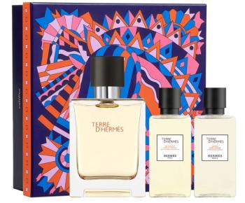 Hermes Terre D´ Hermes - EDT 50 ml + gel de duș 40 ml + aftershave 40 ml