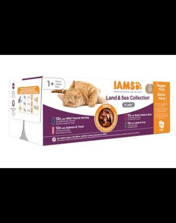 IAMS Cat Delights Adult All Breeds Land&amp;Sea In Jelly Pouch 48 X 85 g