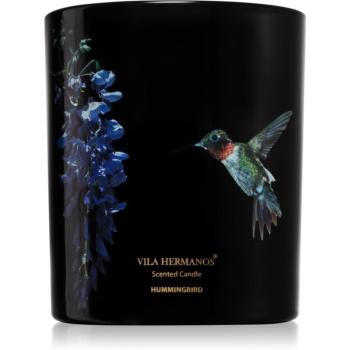 Vila Hermanos Jungletopia Hummingbird lumânare parfumată 200 g