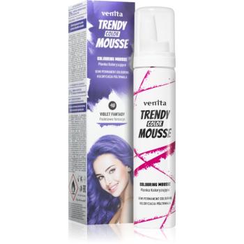 Venita Trendy Color Mousse vopsea de par sub forma de spuma fără amoniac culoare No. 40 - Violet Fantasy 75 ml